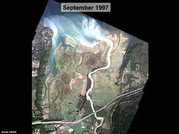 Nisqually Delta Restoration