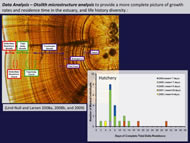 Slide10